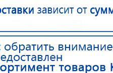СКЭНАР-1-НТ (исполнение 01 VO) Скэнар Мастер купить в Сухой Лог, Аппараты Скэнар купить в Сухой Лог, Медицинская техника - denasosteo.ru