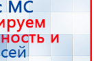 СКЭНАР-1-НТ (исполнение 01)  купить в Сухой Лог, Аппараты Скэнар купить в Сухой Лог, Медицинская техника - denasosteo.ru
